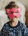 Three Little Pigs Set