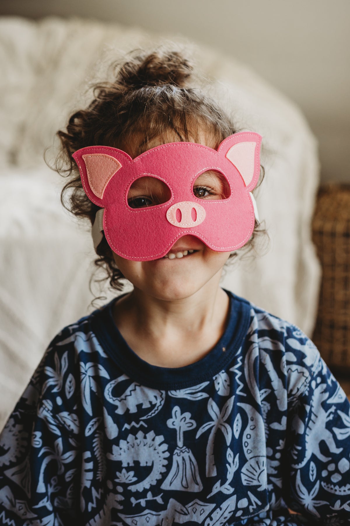 Three Little Pigs Set