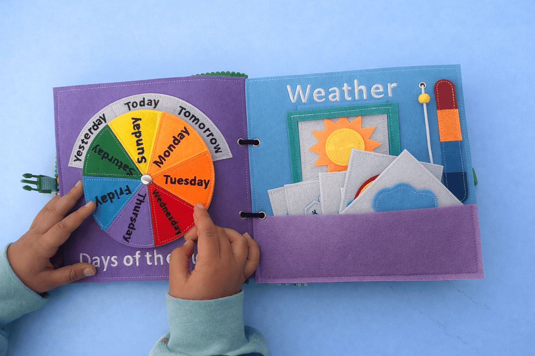 NEW Big Bird - School Readiness Book - Wondertivity