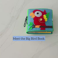 Big Bird - School Readiness Busy Book